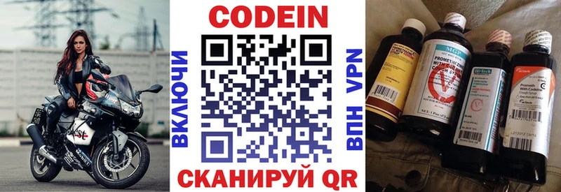Купить закладки  Темников  Кодеиновый сироп Lean Purple Drank 