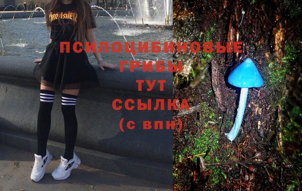 гашик Протвино