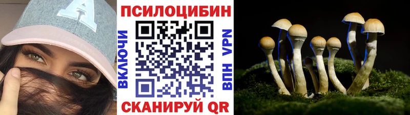 Галлюциногенные грибы Magic Shrooms  Купить закладки  Темников